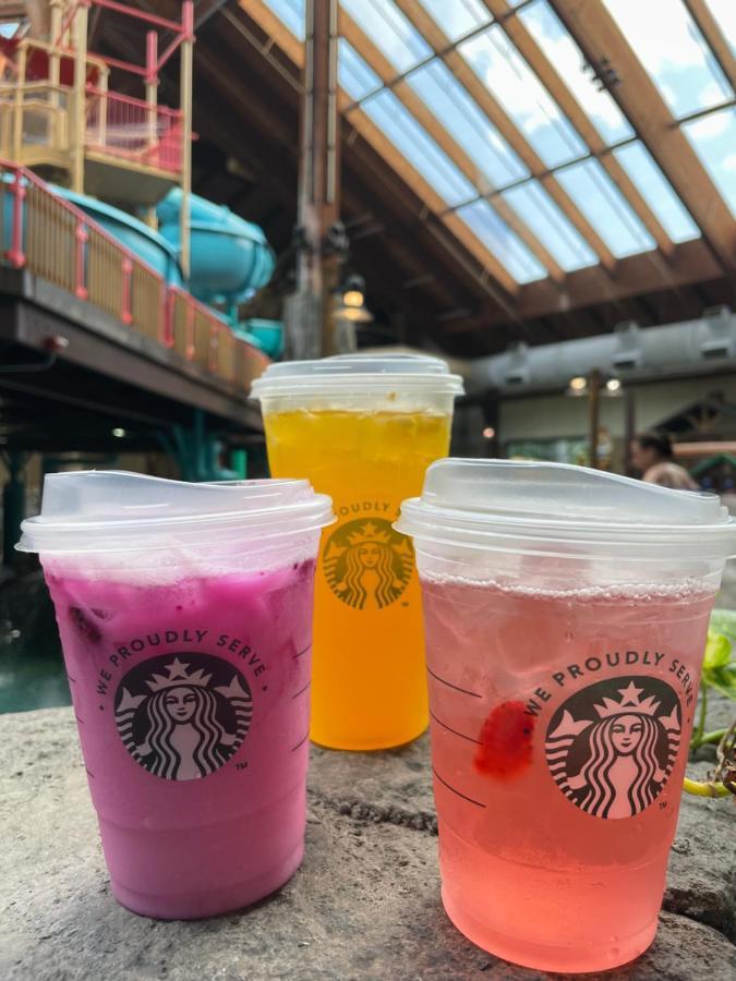 Six Flags Great Escape Lodge & Indoor Waterpark 昆斯伯里 外观 照片
